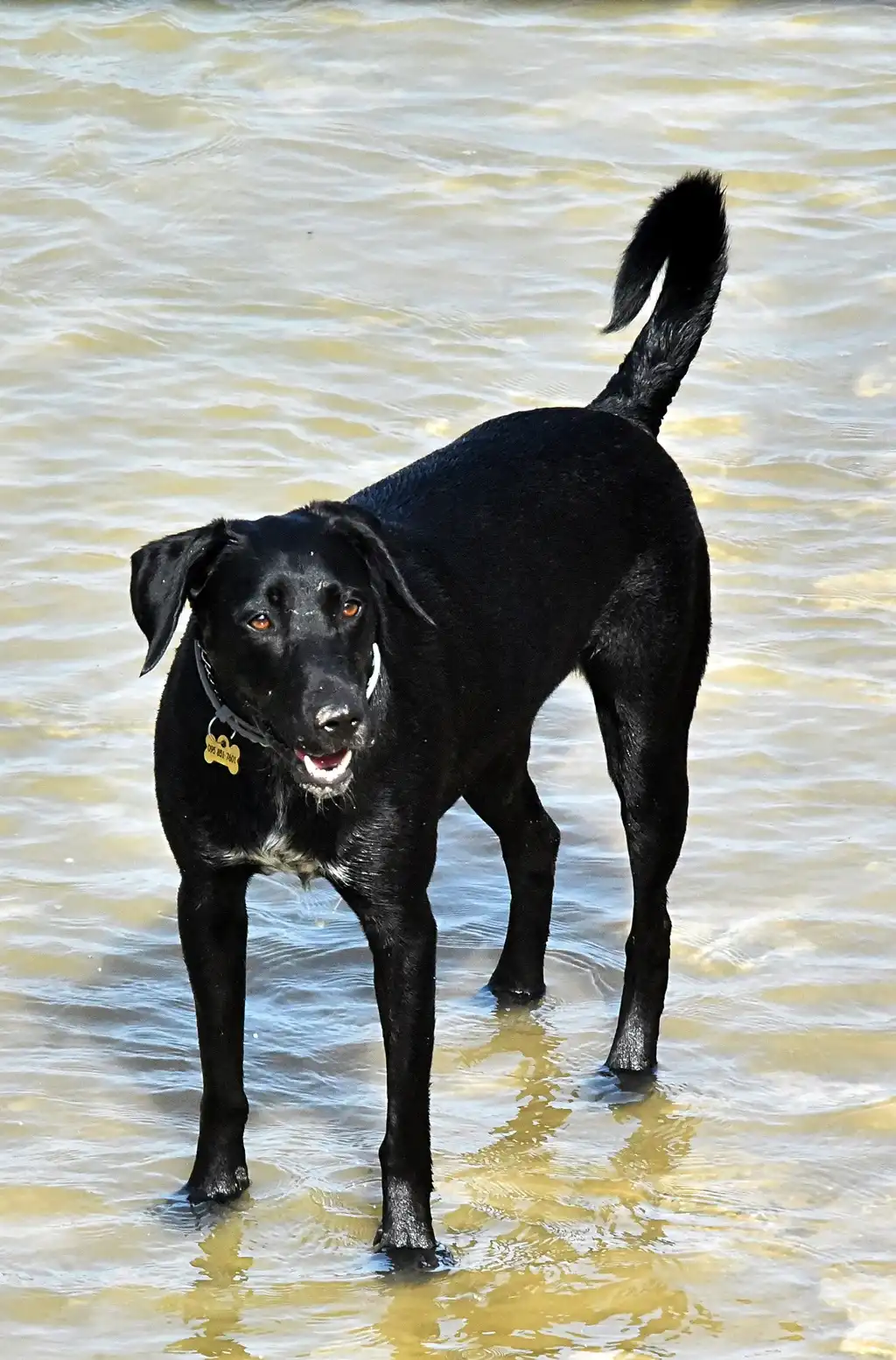 Klikom po Dravi (7) Klikom po Dravi (7)