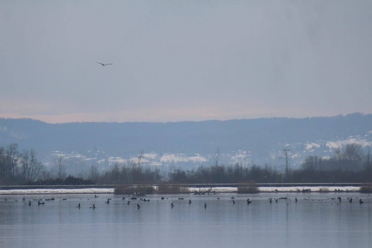 Klikom po Marini (10) Klikom po Marini (10)