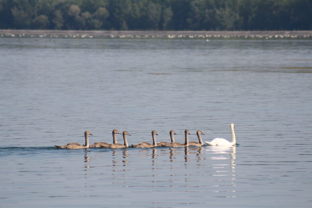 Klikom po Marini 1008 13 Klikom po Marini 1008 13