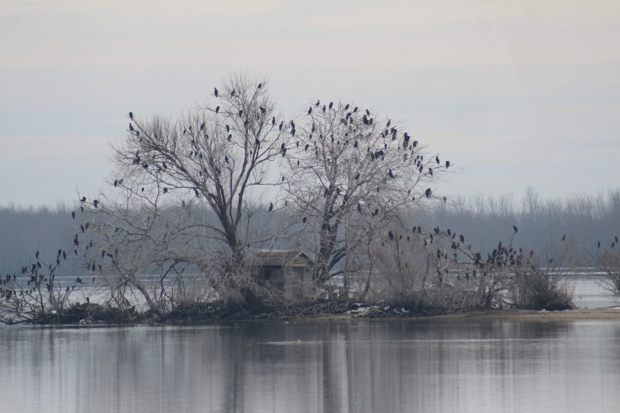 Klikom po Marini (11) Klikom po Marini (11)