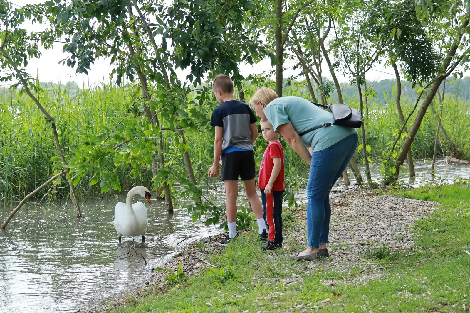 Klikom po Marini (11) Klikom po Marini (11)