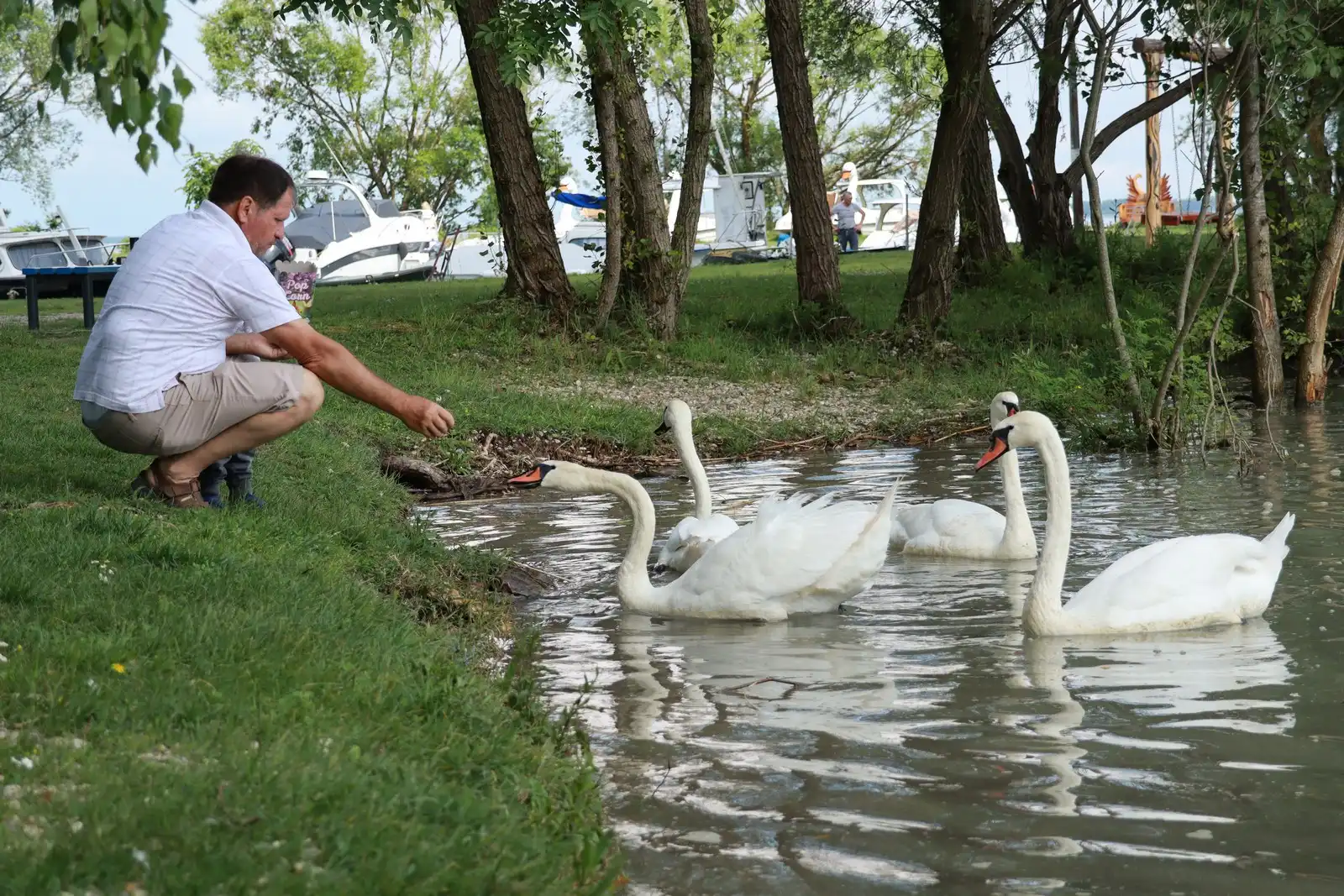 Klikom po Marini (12) Klikom po Marini (12)