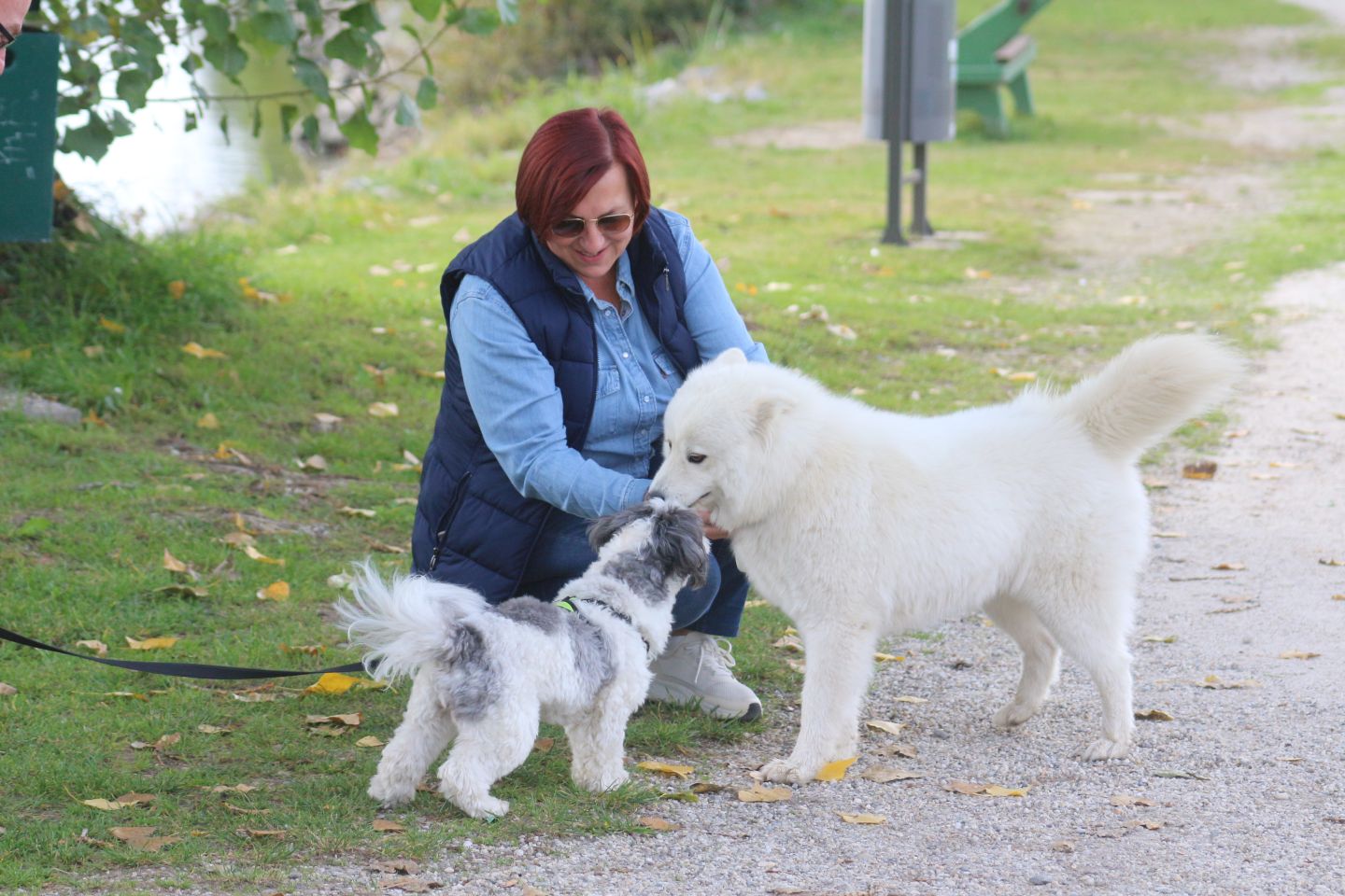 Klikom po Marini 12.10 (57)