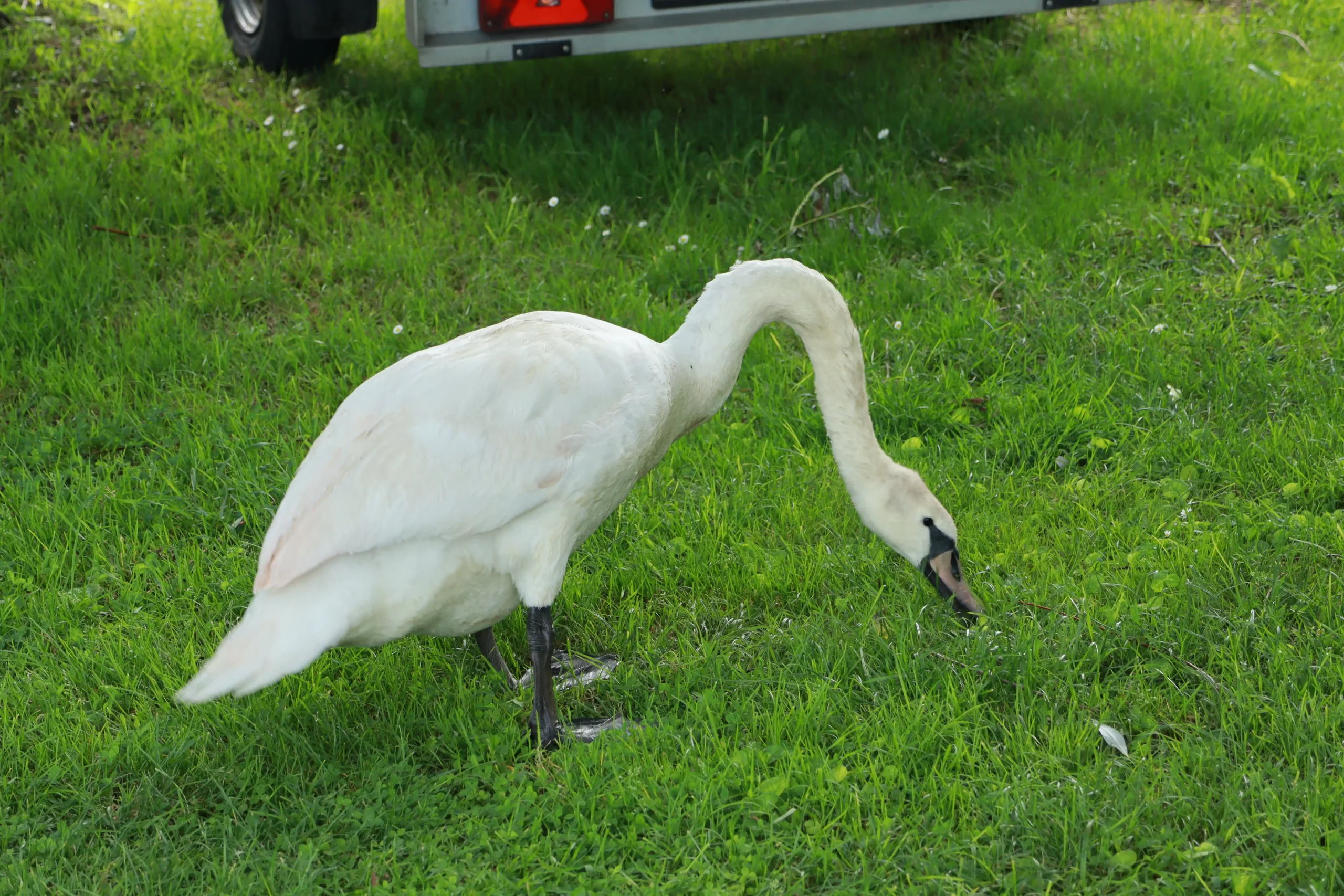 Klikom po Marini, 16. 6. 2024 (24) Klikom po Marini, 16. 6. 2024 (24)