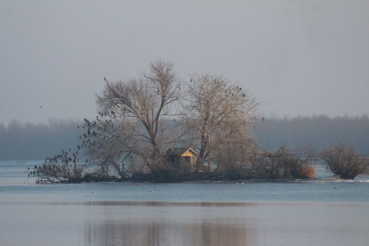 Klikom po Marini 18 (15)