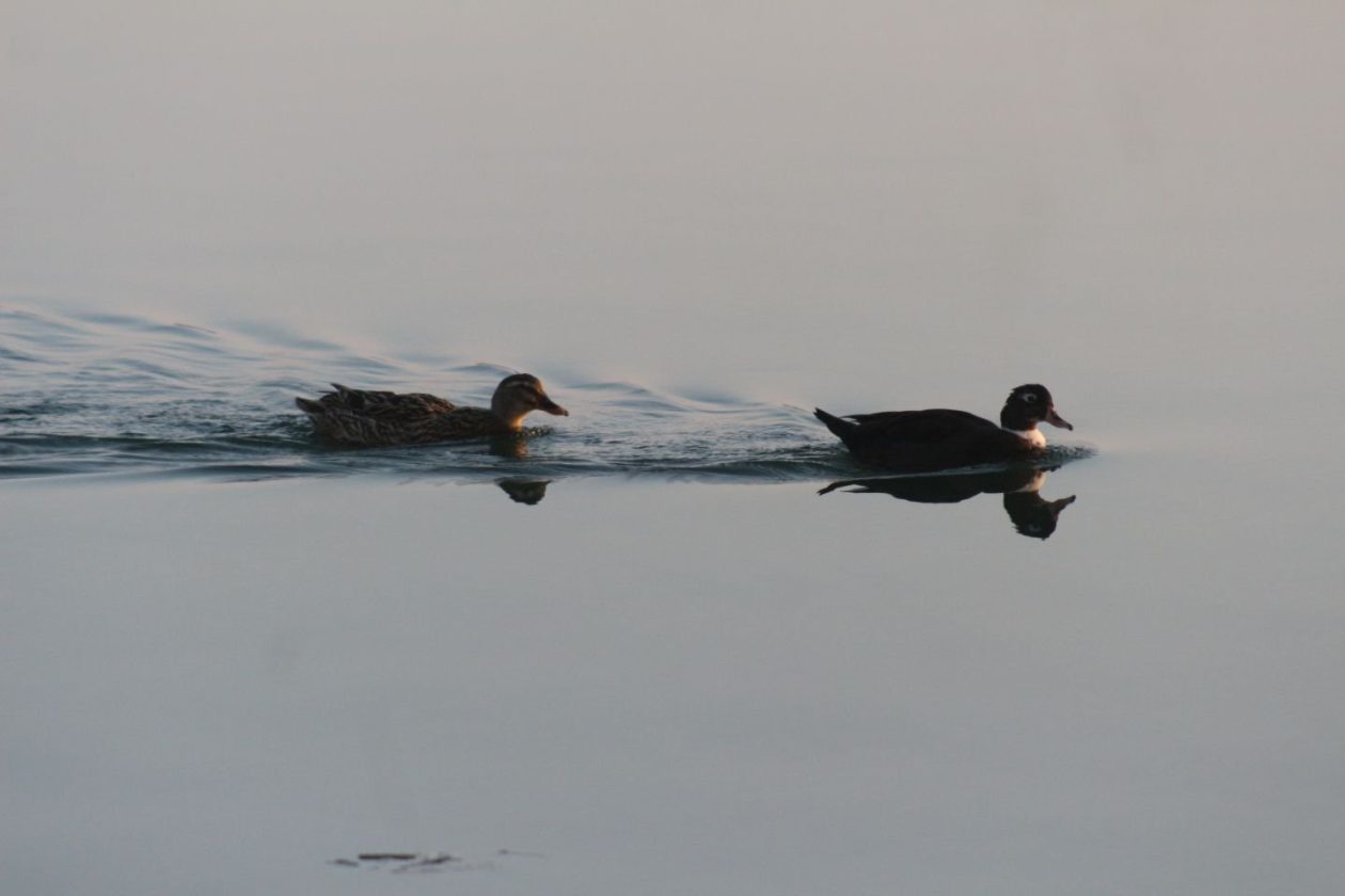 Klikom po Marini 18 (26)