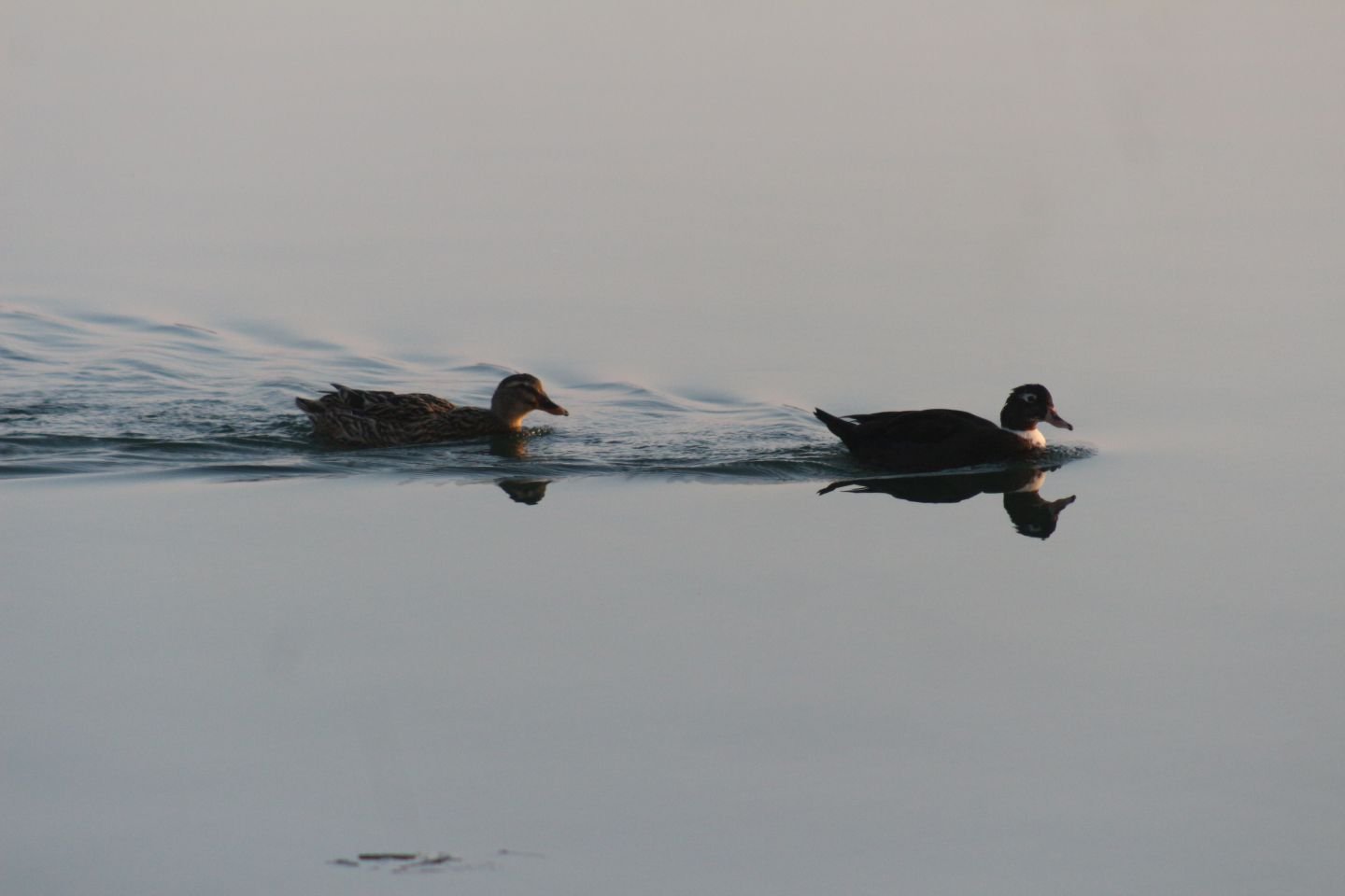 Klikom po Marini 18 (26)