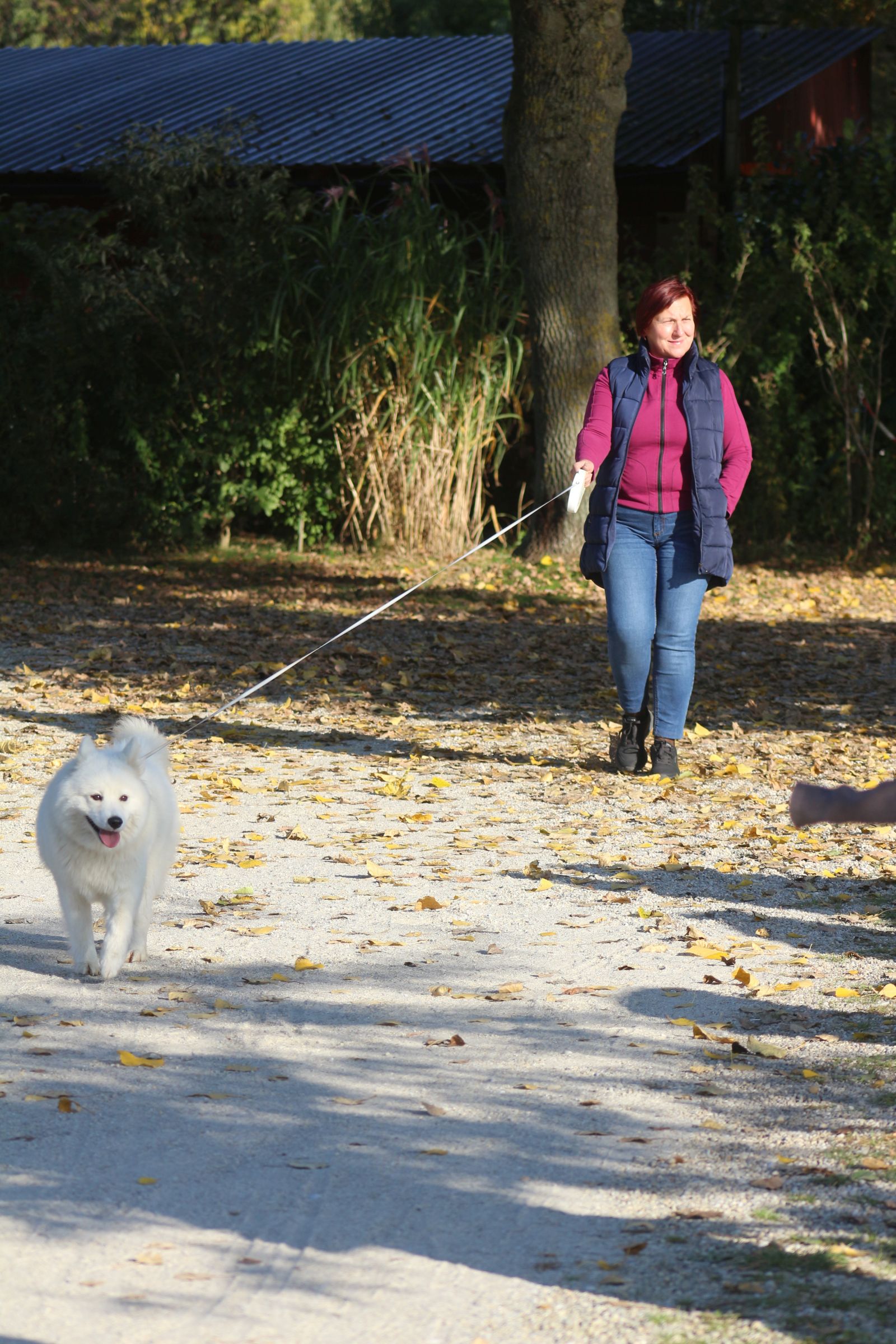 Klikom po Marini 1910 16