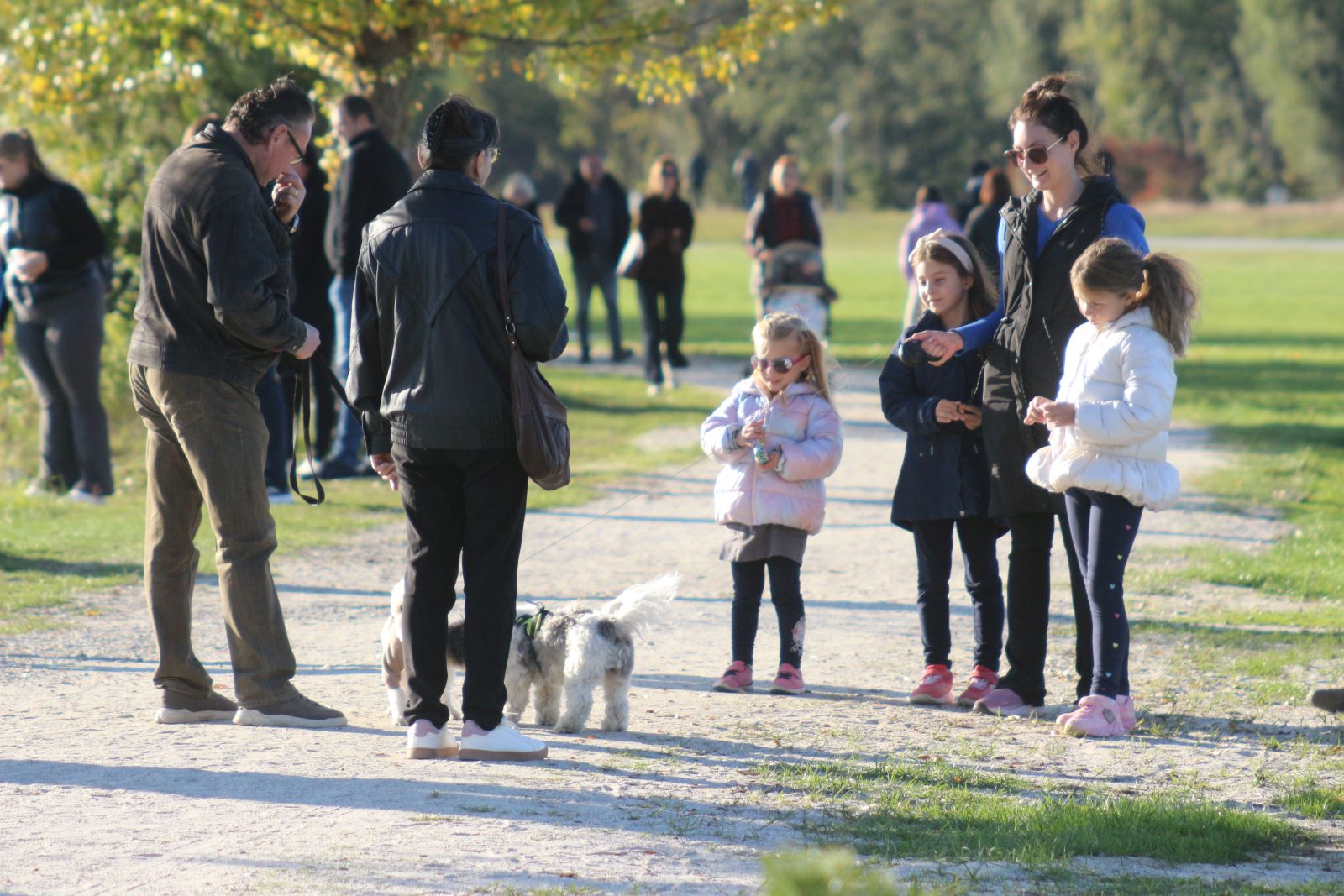 Klikom po Marini 1910 56