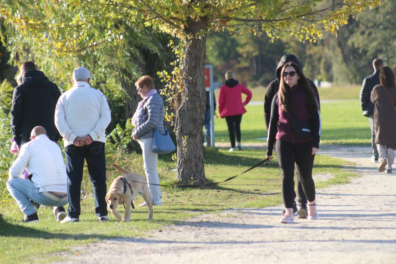 Klikom po Marini 1910 60