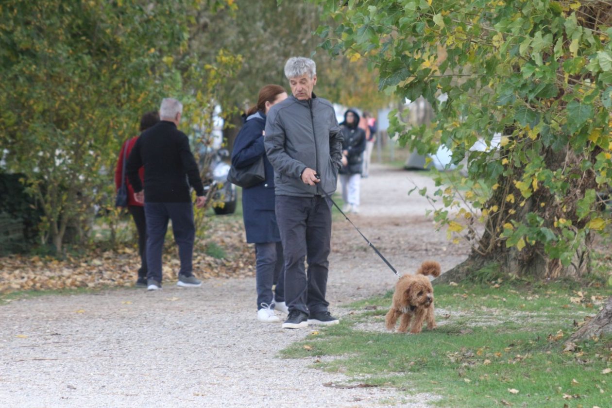 Klikom po Marini 2.11 (2)