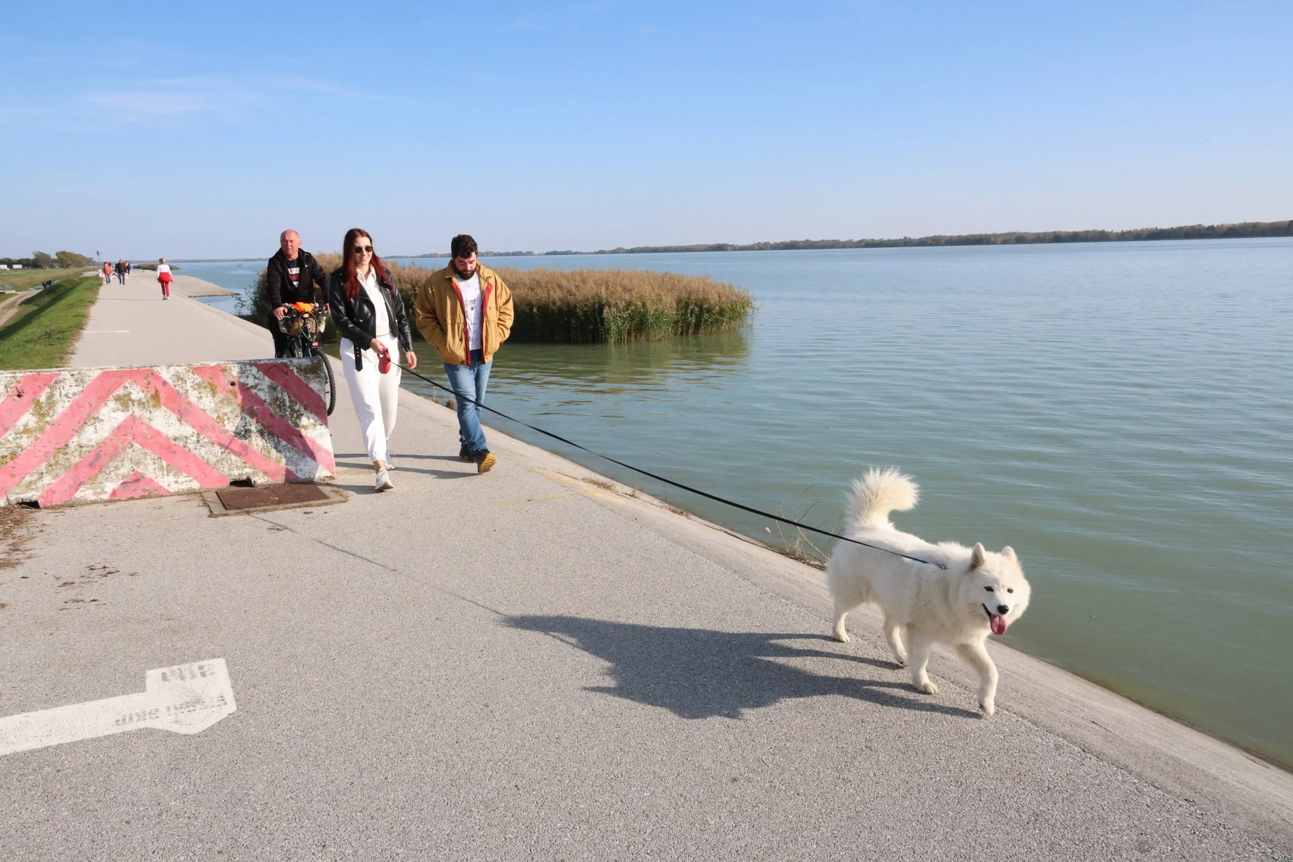 Klikom po Marini 20.10.2024. (7)