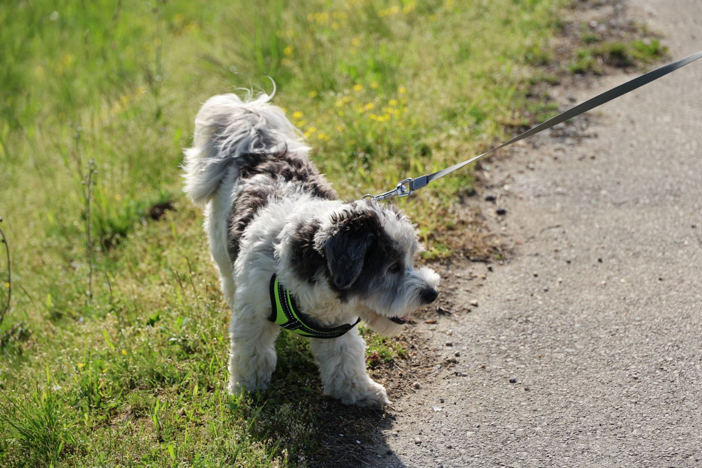 Klikom po Marini 20.4. uskrs (32)