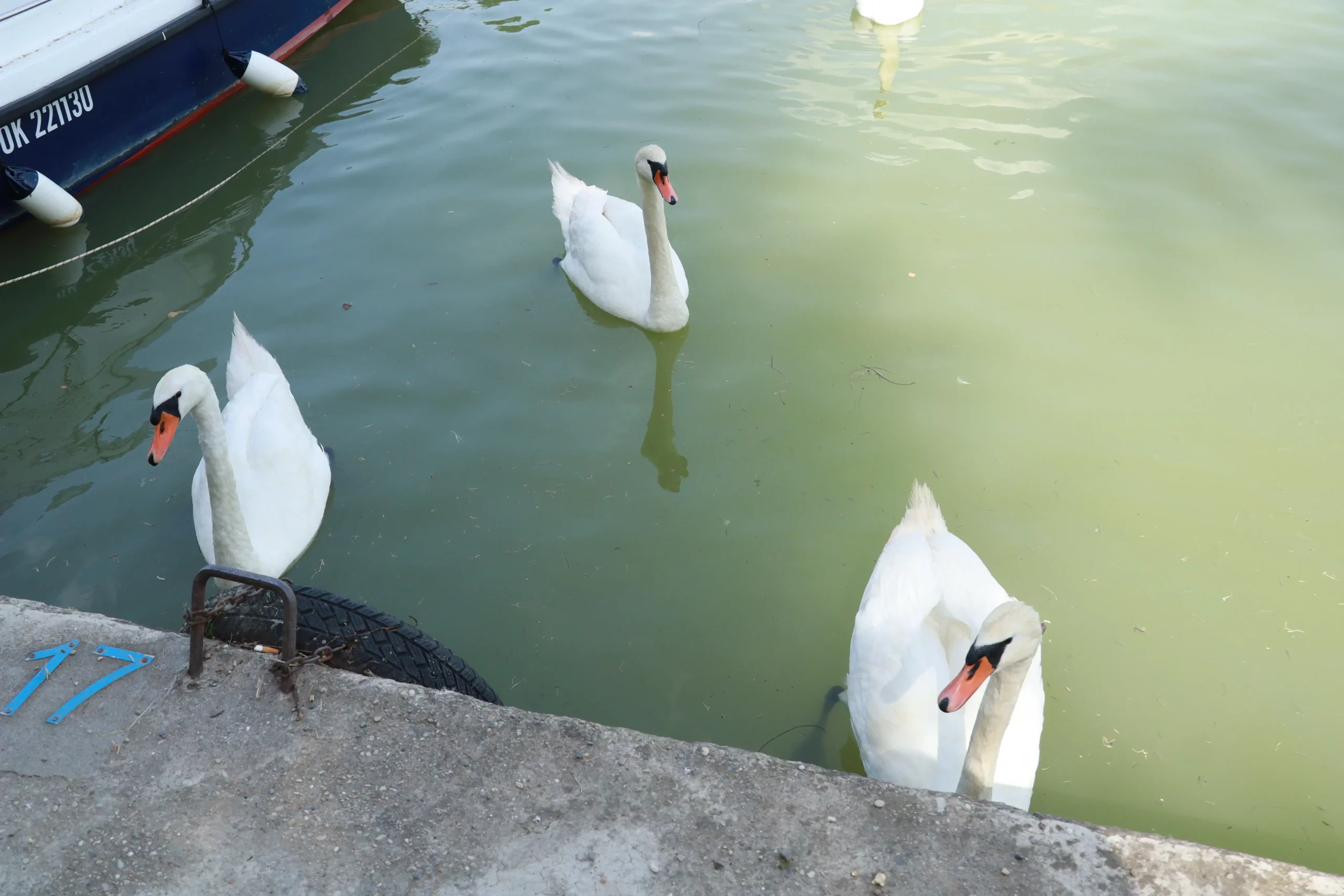 Klikom po Marini (22) Klikom po Marini (22)