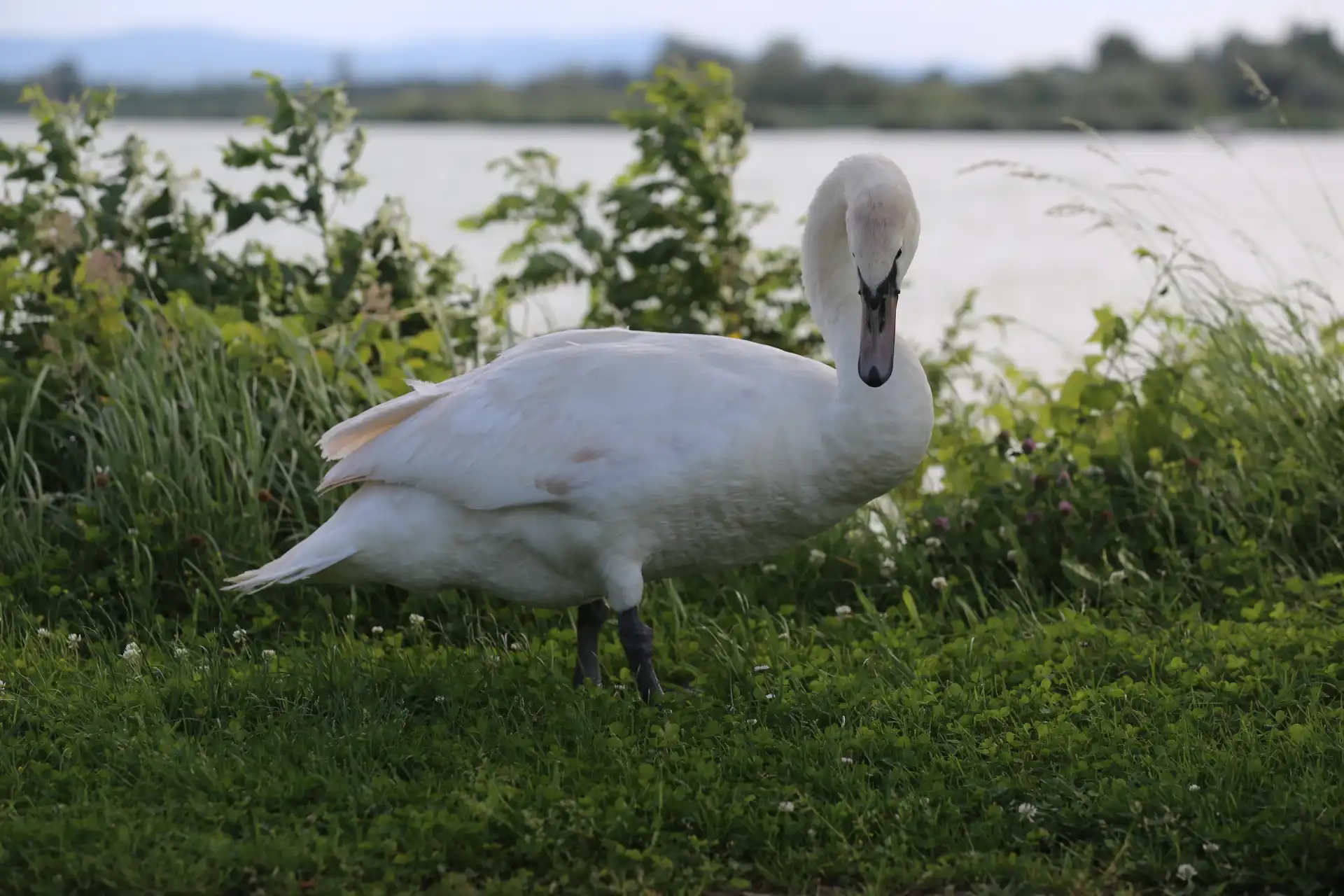 Klikom po Marini, 23 (10) Klikom po Marini, 23 (10)