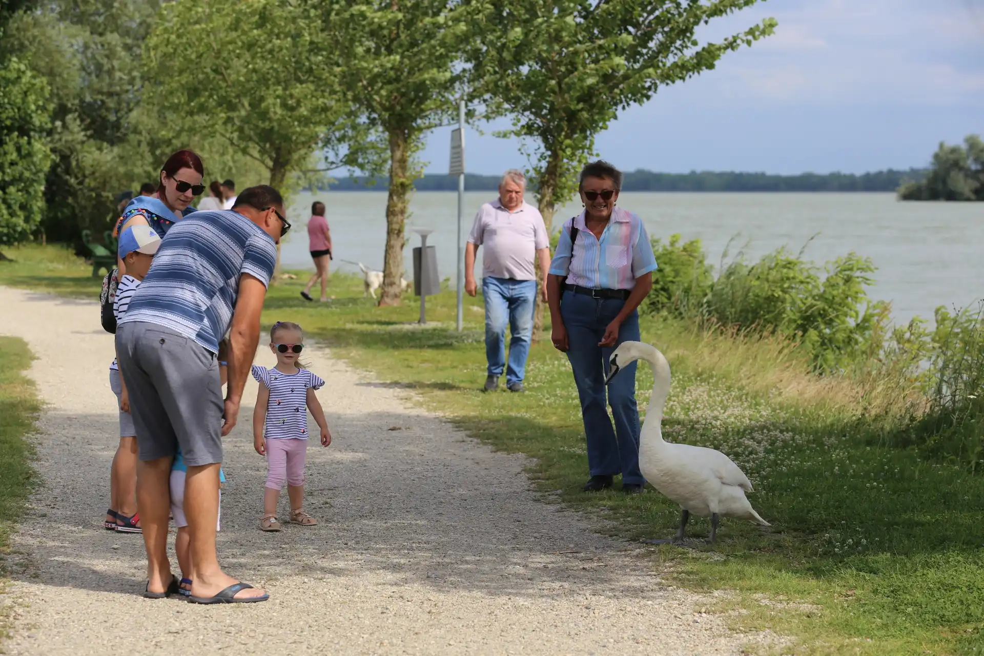 Klikom po Marini, 23 (18) Klikom po Marini, 23 (18)