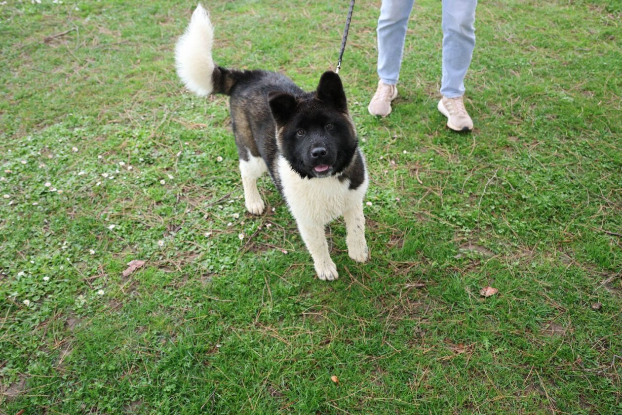 Klikom po Marini, 23. 3. 2025 (16)