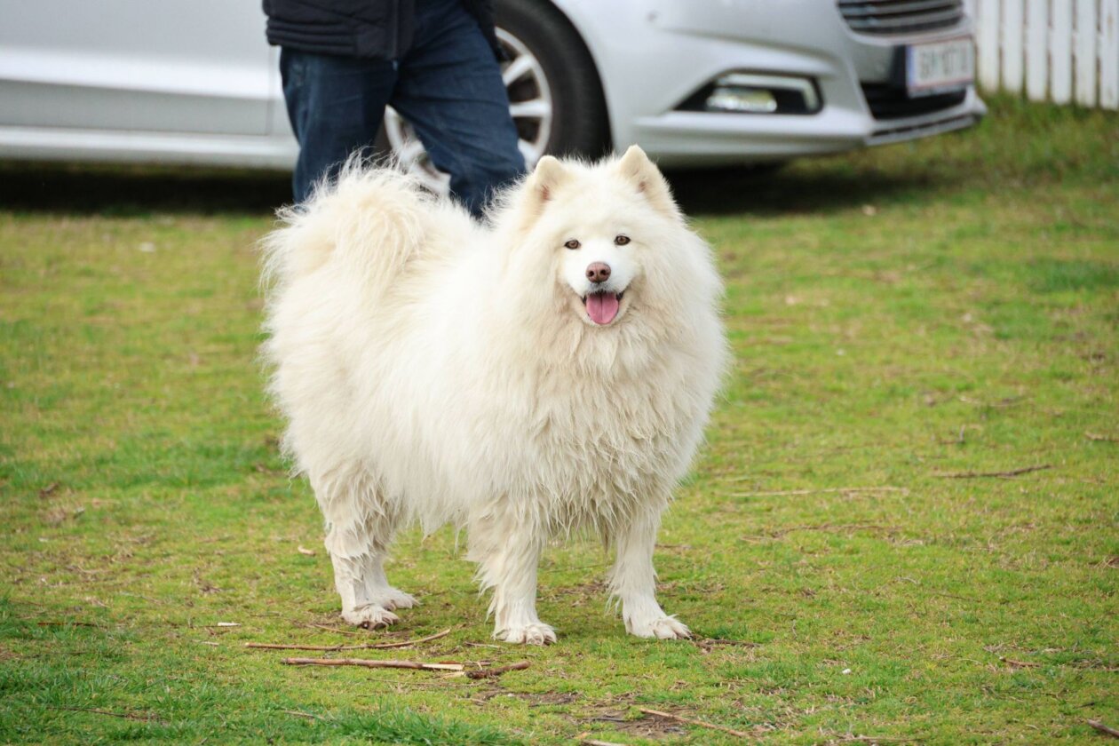 Klikom po Marini, 23. 3. 2025 (20)