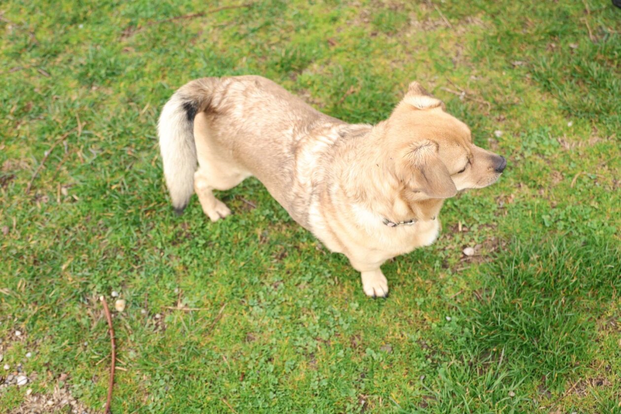 Klikom po Marini, 23. 3. 2025 (21)