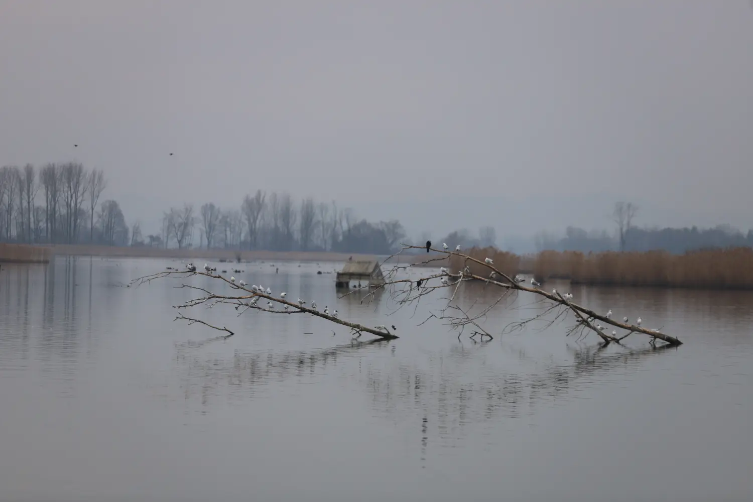 Klikom po Marini 23.2.2025 (16)