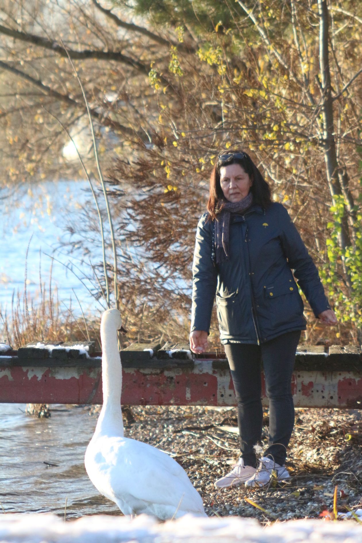 Klikom po Marini 2311i 11