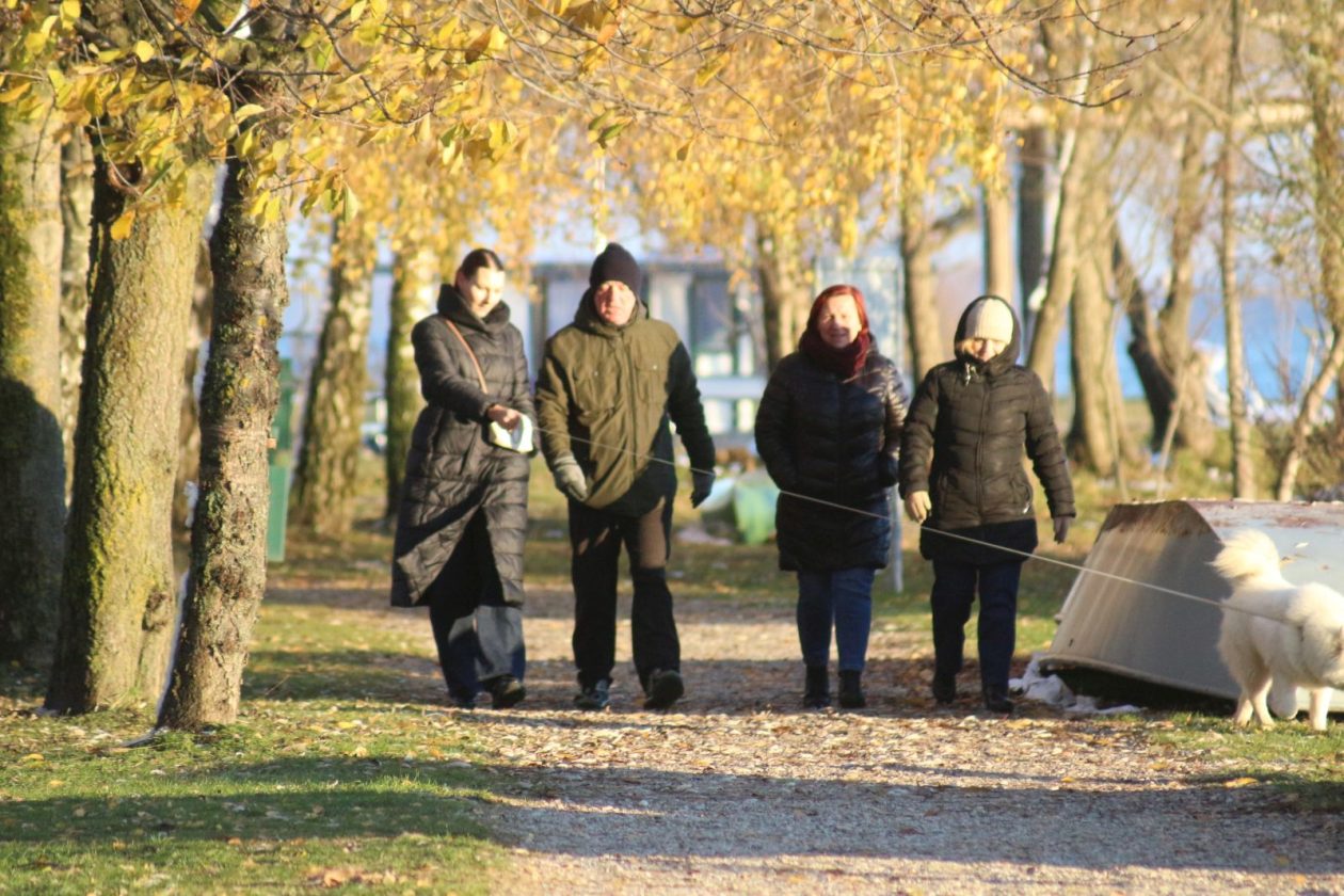 Klikom po Marini 2311i 13