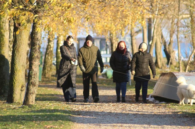 Klikom po Marini 2311i 13