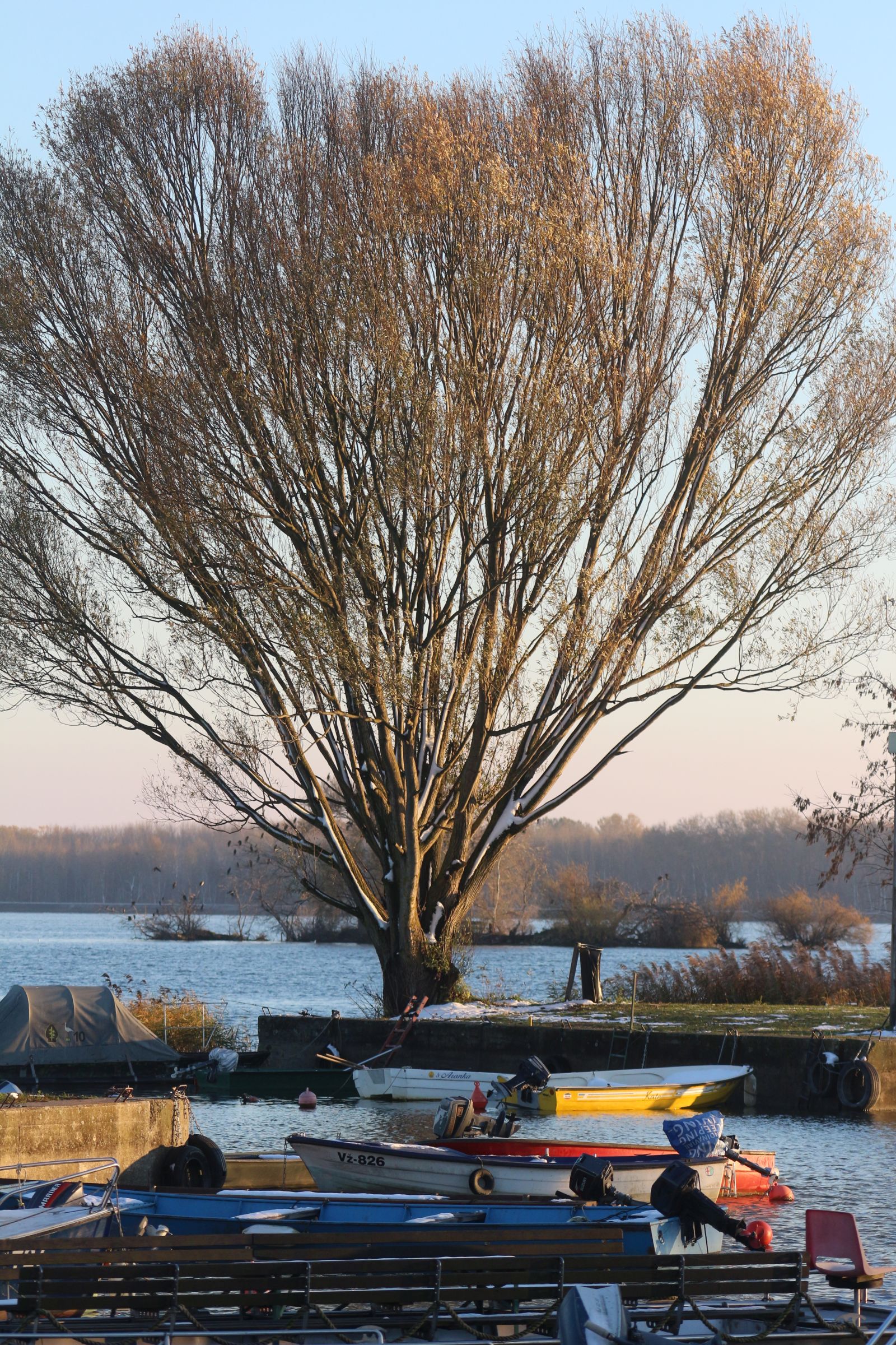 Klikom po Marini 2311i 24