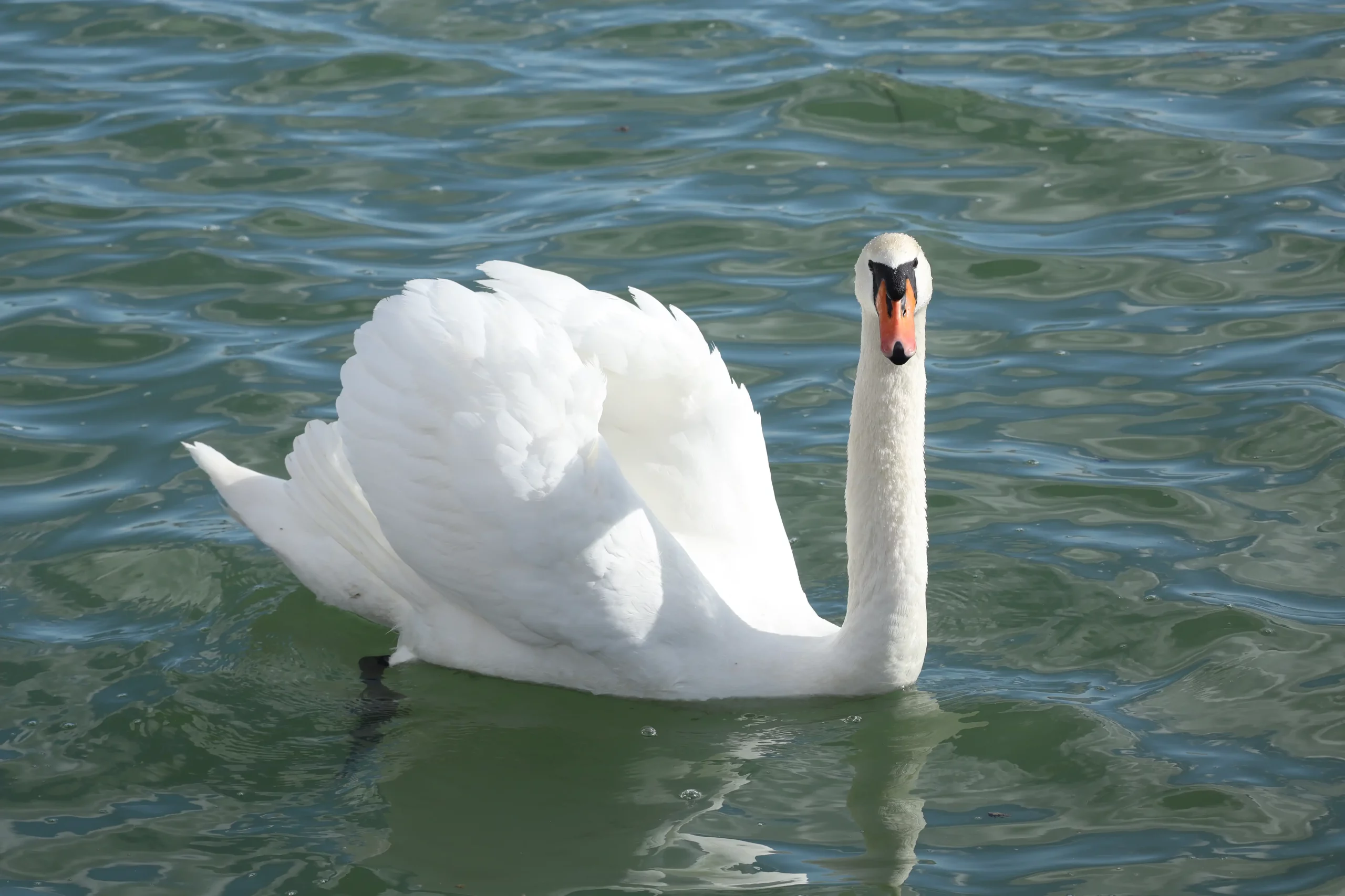 Klikom po Marini 24.03 (44)