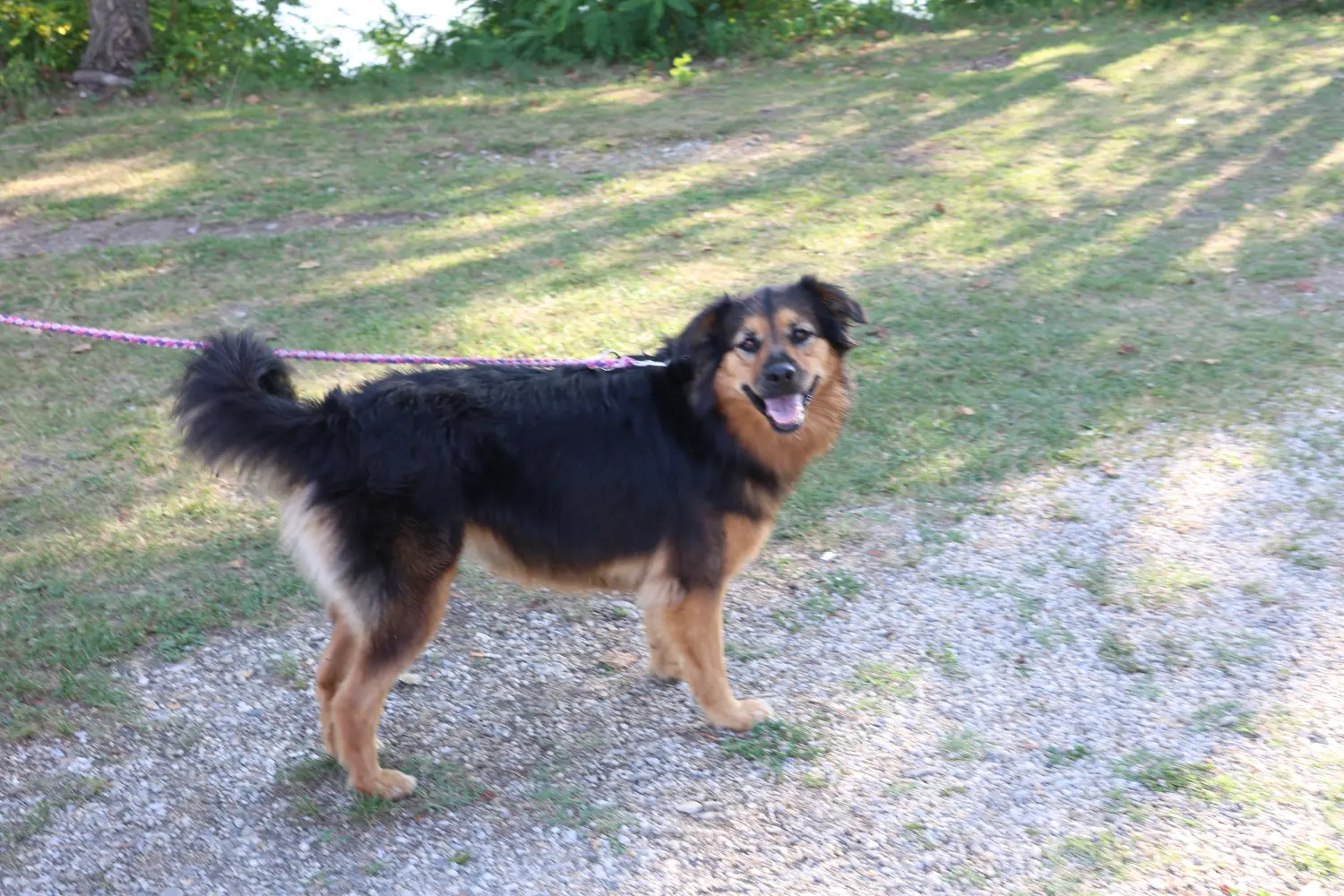 Klikom po Marini, 25.8.2024., Mateja Balent (23) Klikom po Marini, 25.8.2024., Mateja Balent (23)