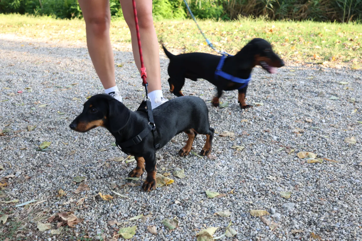 Klikom po Marini, 25.8.2024., Mateja Balent (9) Klikom po Marini, 25.8.2024., Mateja Balent (9)