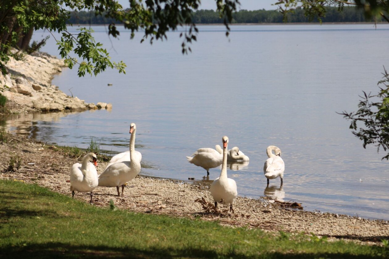 Klikom po Marini 2505 11 Klikom po Marini 2505