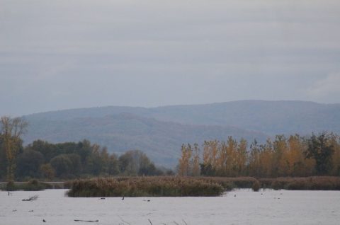 Klikom po Marini, 26.10 (20)