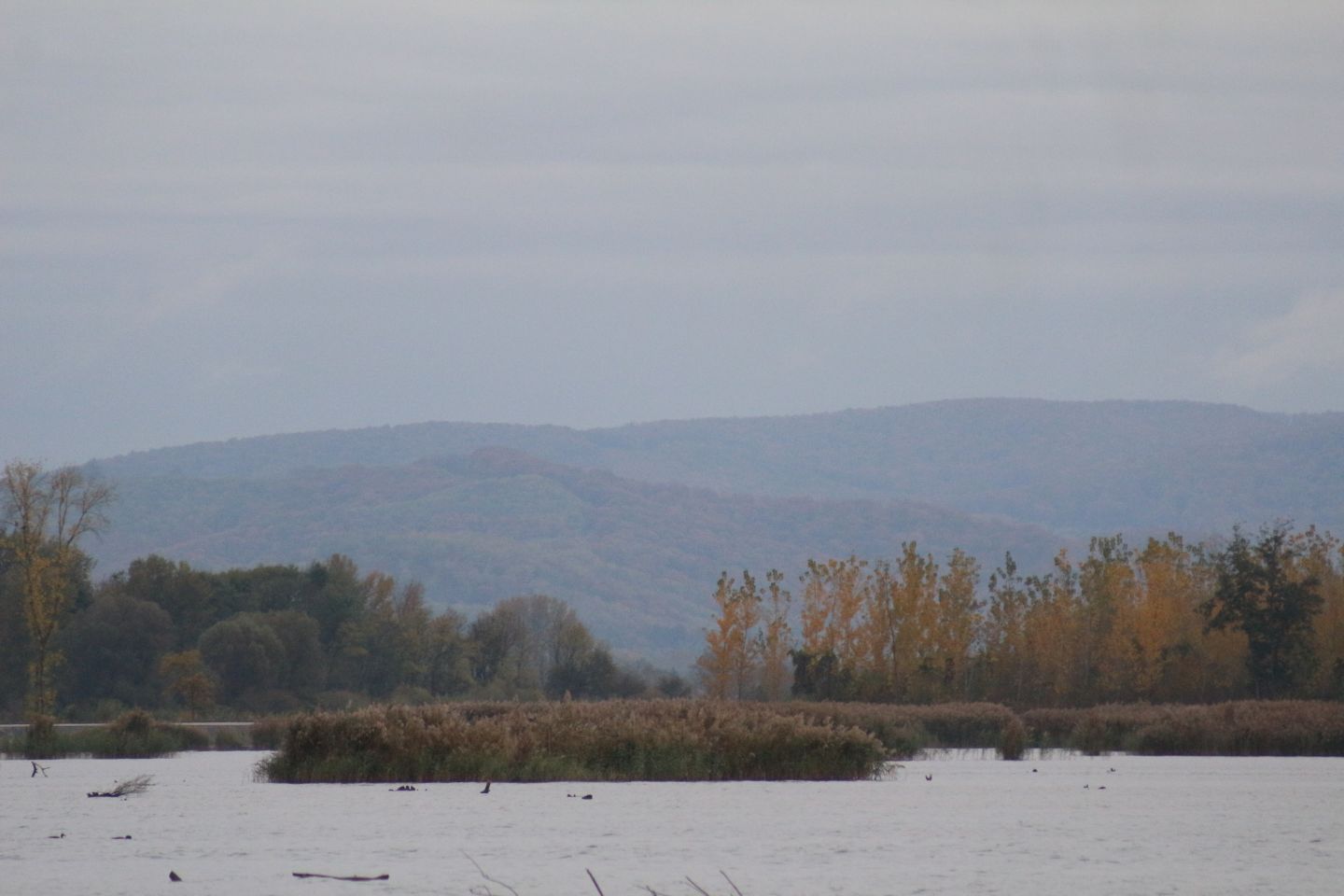 Klikom po Marini, 26.10 (20) Klikom po Marini, 26.10 (20)