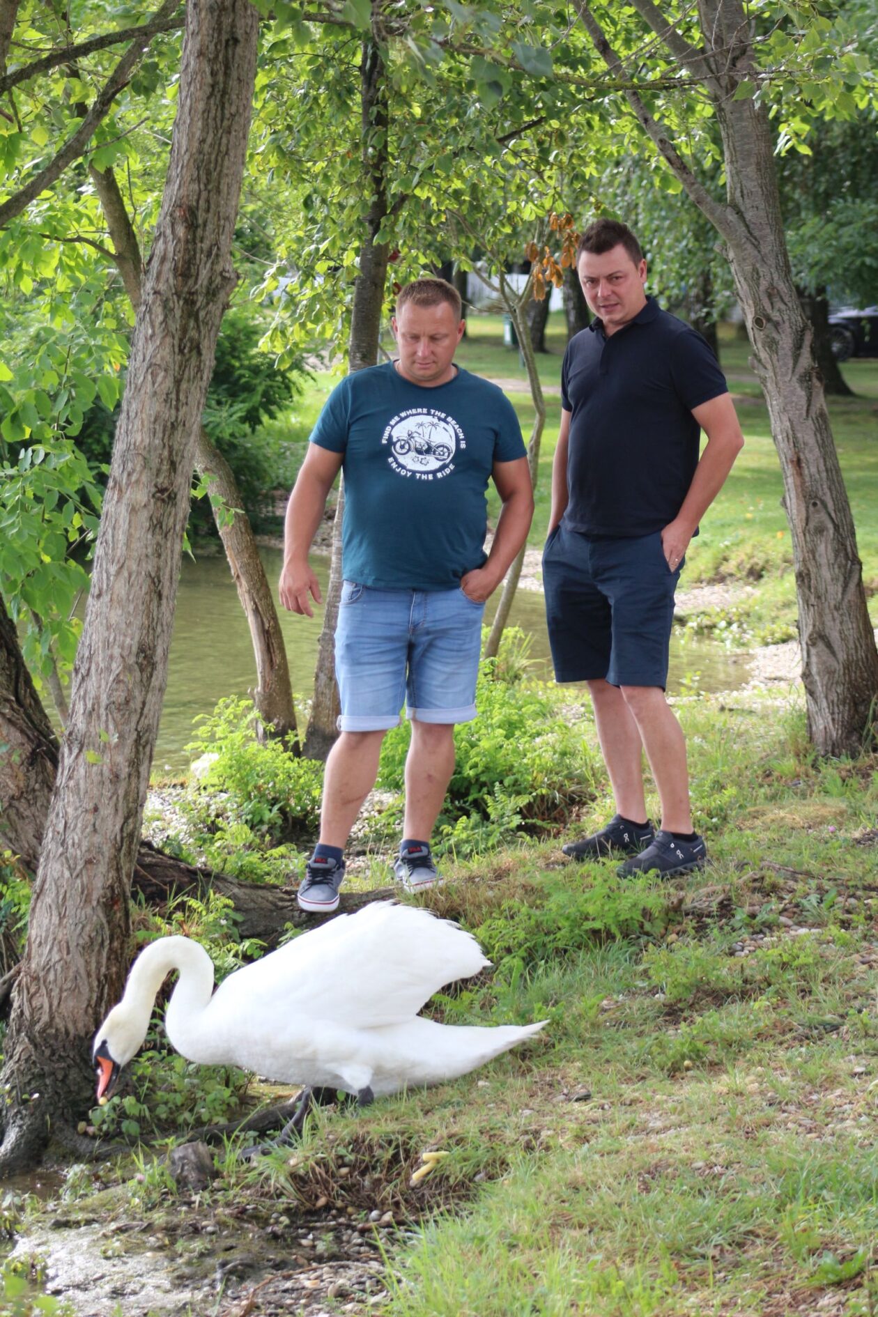 Klikom po Marini 2706 14