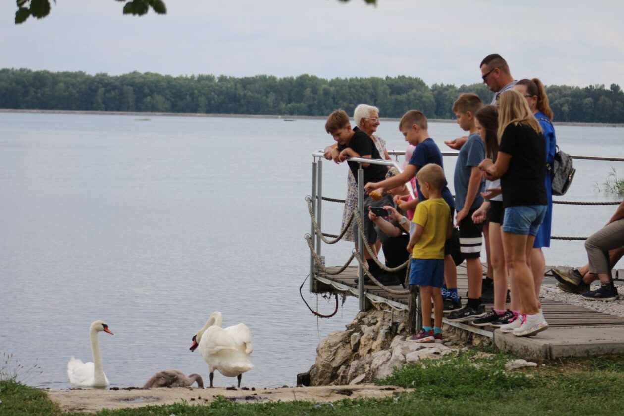 Klikom po Marini 2706 35