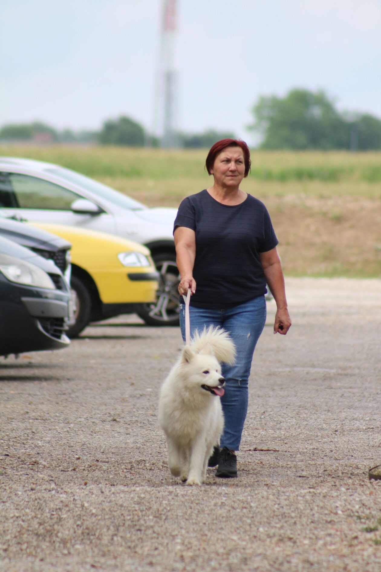 Klikom po Marini 2706 5