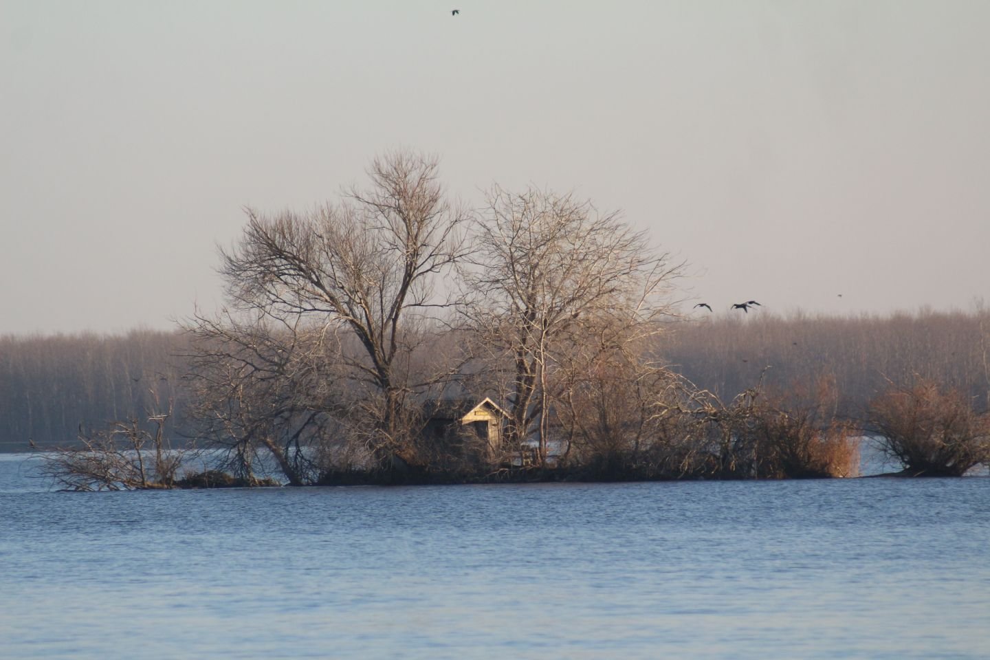 Klikom po Marini 28.12 (23)