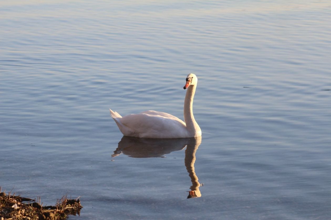 Klikom po Marini 28.12 (7)