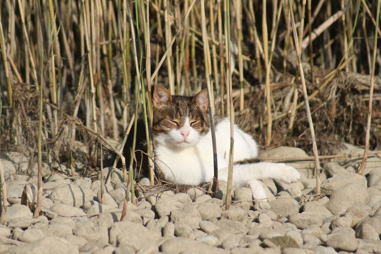 Klikom po Marini, 28.9 (18) Klikom po Marini, 28.9 (18)