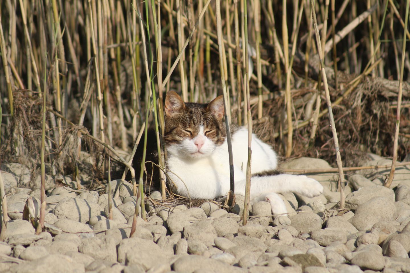 Klikom po Marini, 28.9 (18)