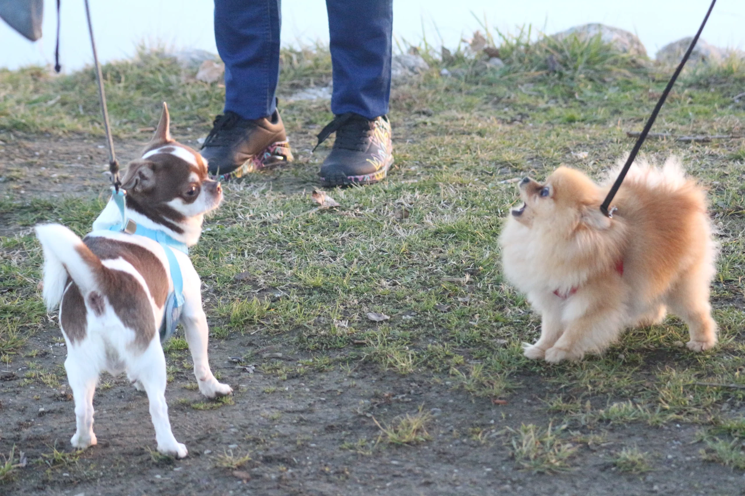 Klikom po Marini 30-11-2025 (34)