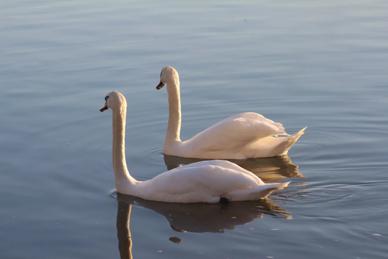 Klikom po Marini 30-11-2025 (5)