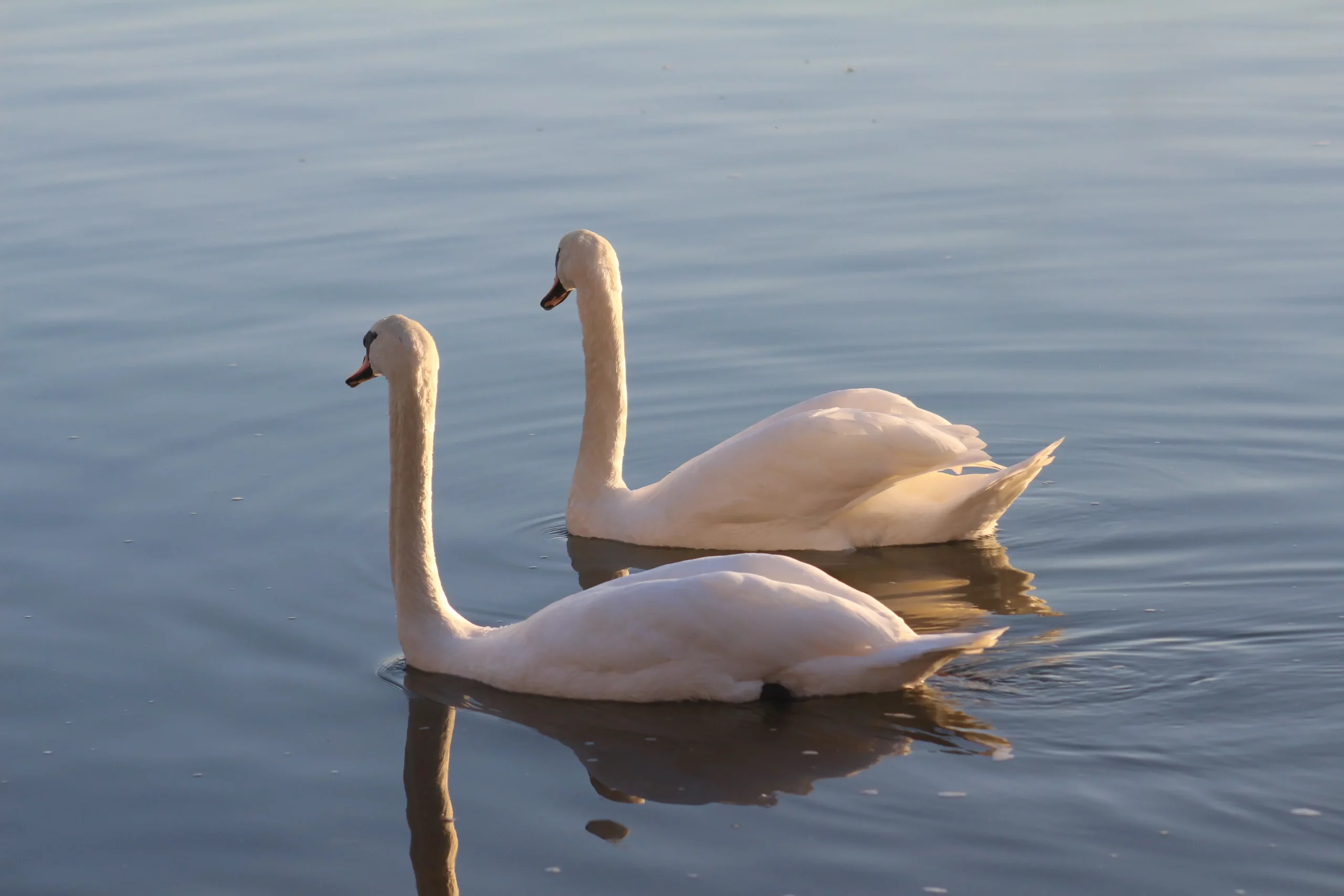 Klikom po Marini 30-11-2025 (5)