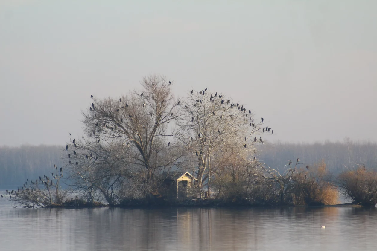 Klikom po Marini 30-11-2025 (8)