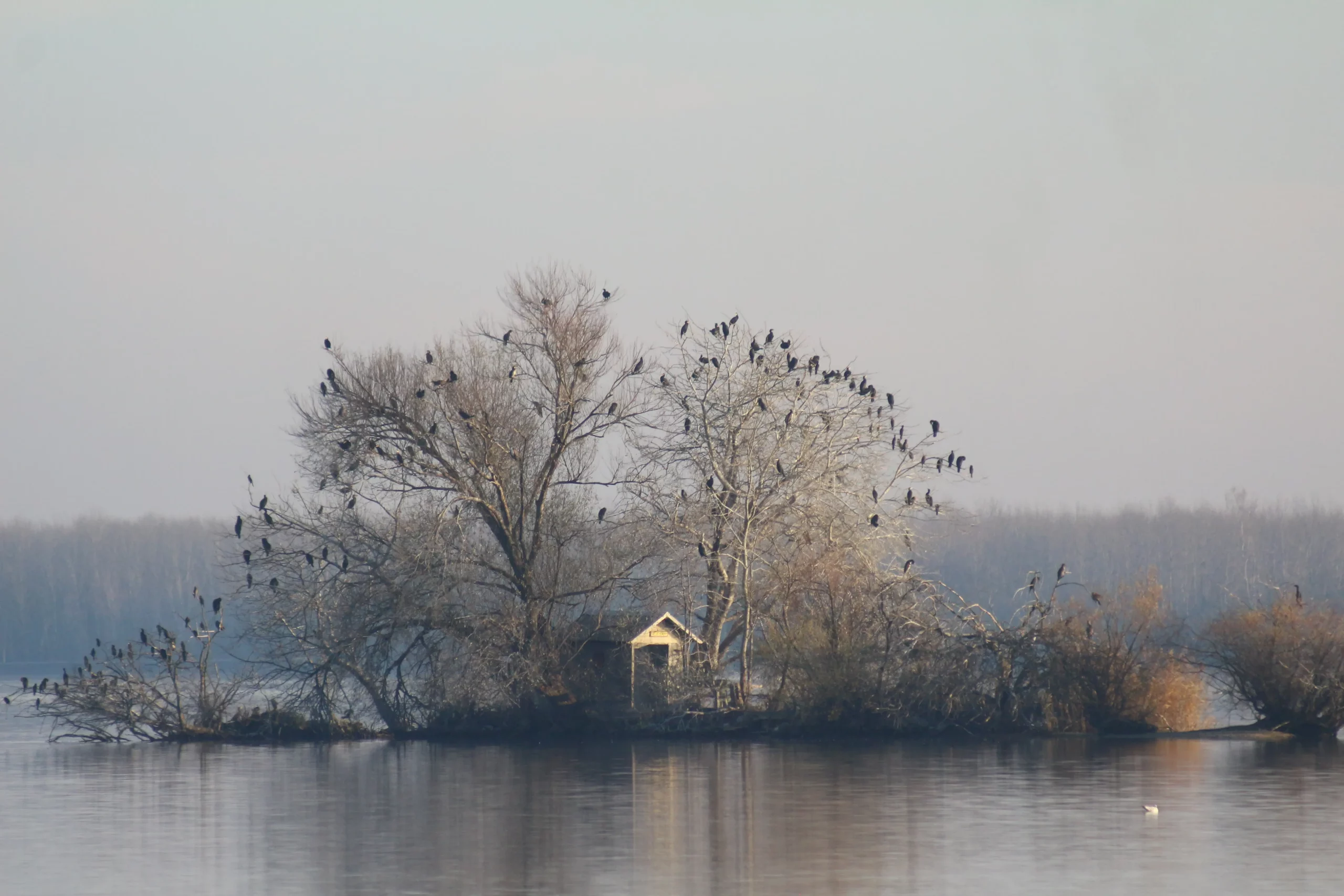 Klikom po Marini 30-11-2025 (8)