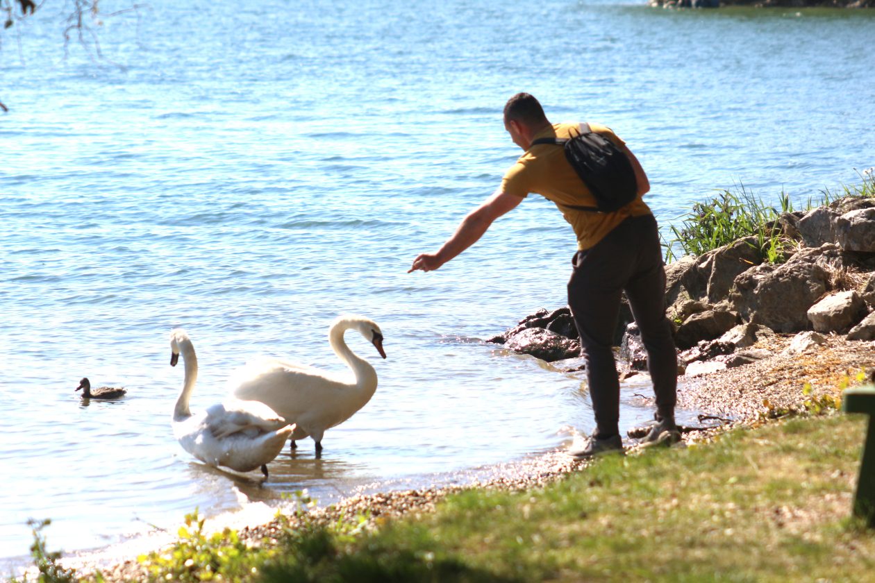 Klikom po Marini (30)