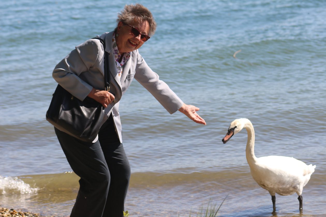 Klikom po Marini (34)