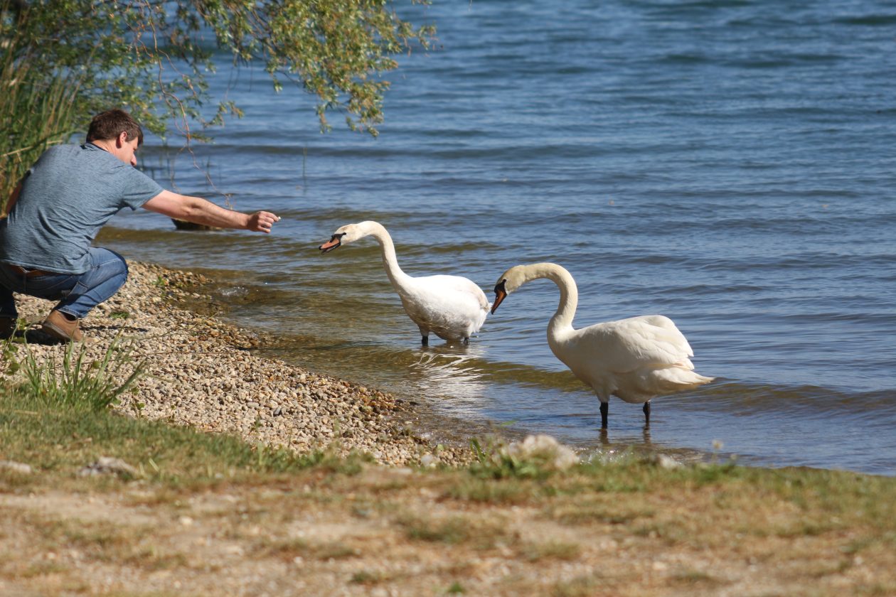 Klikom po Marini (5)