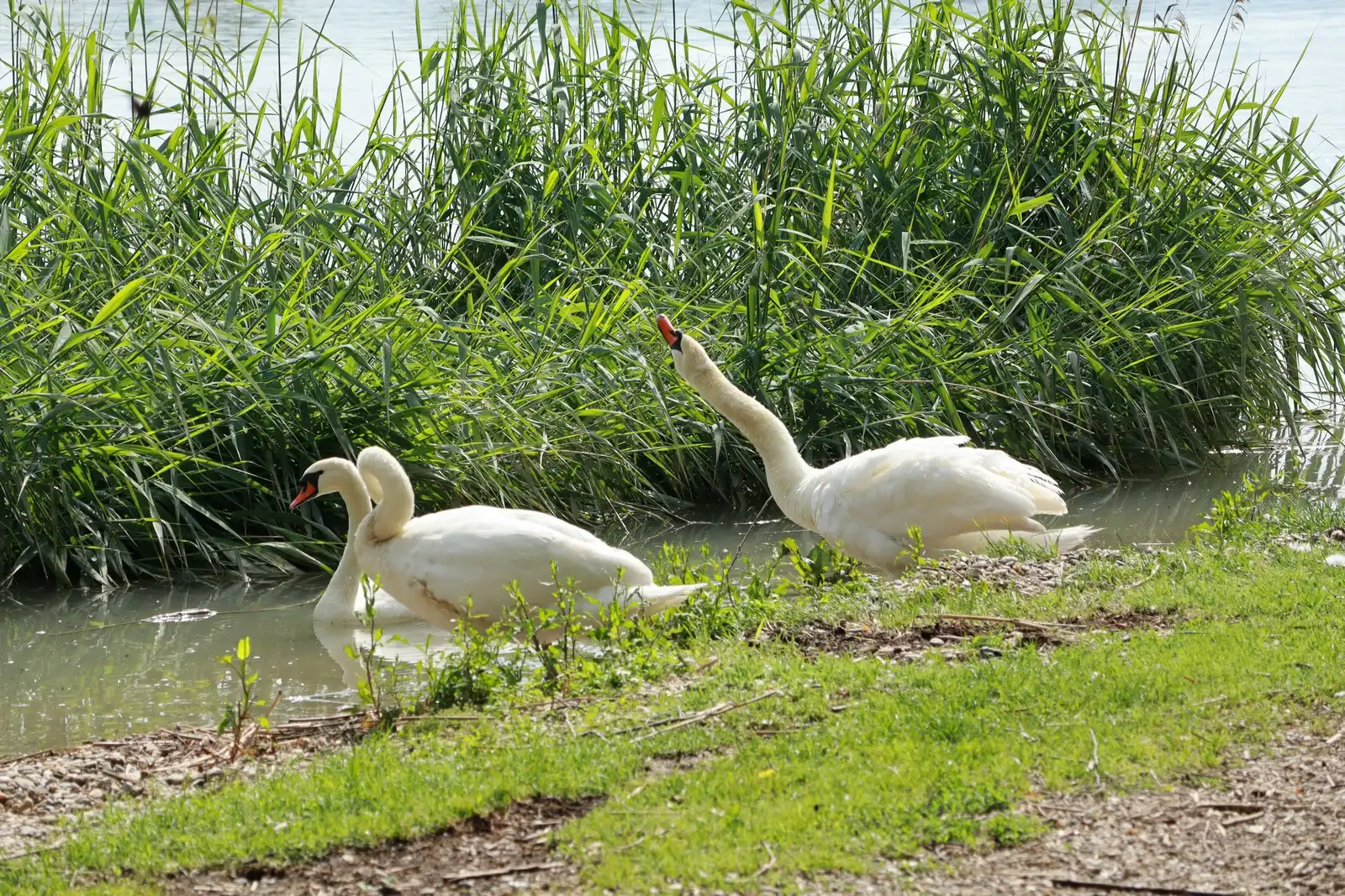 Klikom po Marini (5) Klikom po Marini (5)